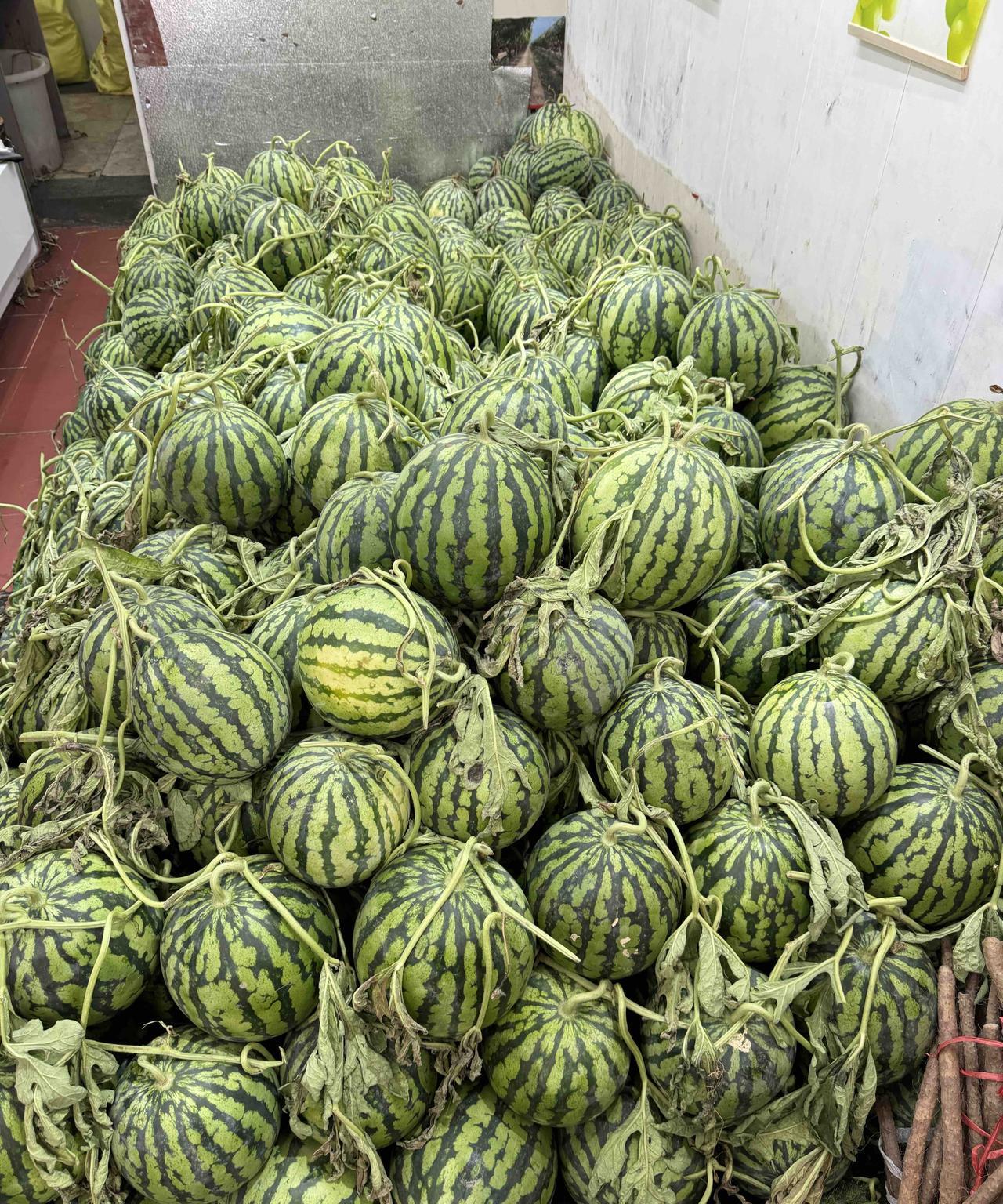 西瓜确实确实可以啊！感觉还行！
不知道什么时候开始西瓜都要2.8一斤了！这个是自