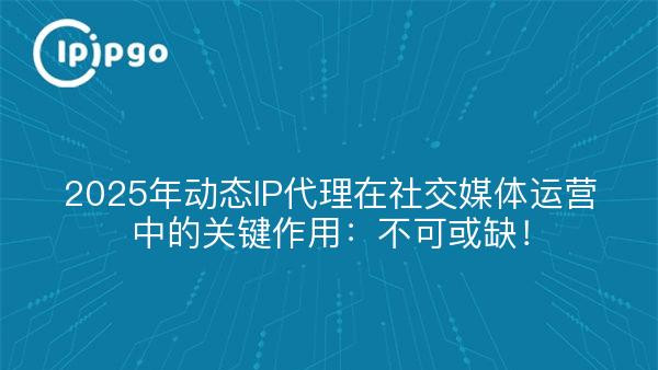 2025年动态IP代理在社交媒体运营中的关键作用：不可或缺！