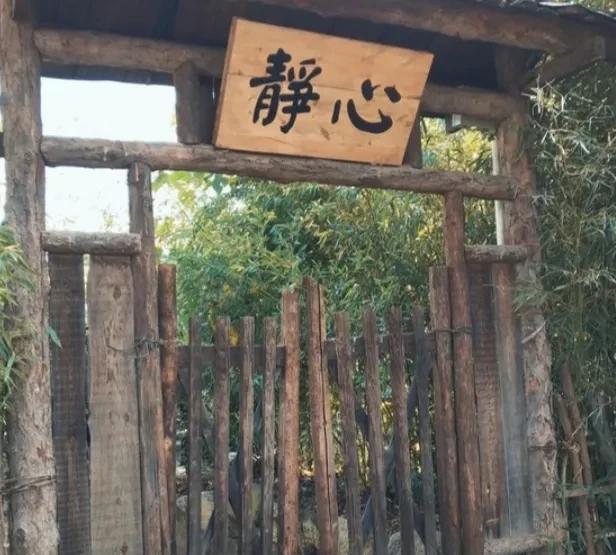 过几天真的是流量非常的低，收益也是非常的低迷，心情也跟着低落起来。
#记录我的2