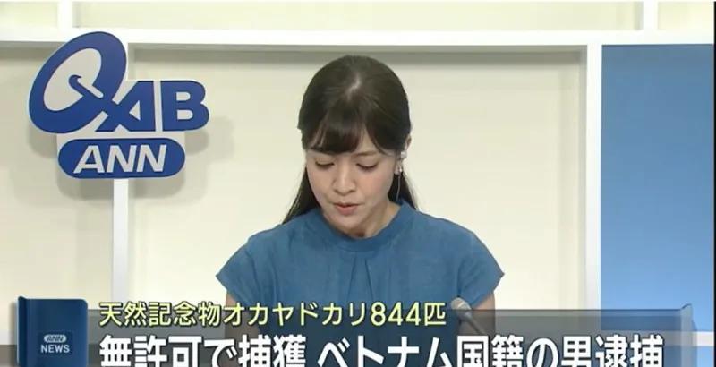 冲绳越南人偷捕凤头鹦鹉寄居蟹
7月14日日媒消息：日本冲绳警方逮捕了一名越南籍男