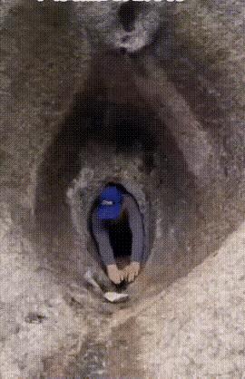 重回故里