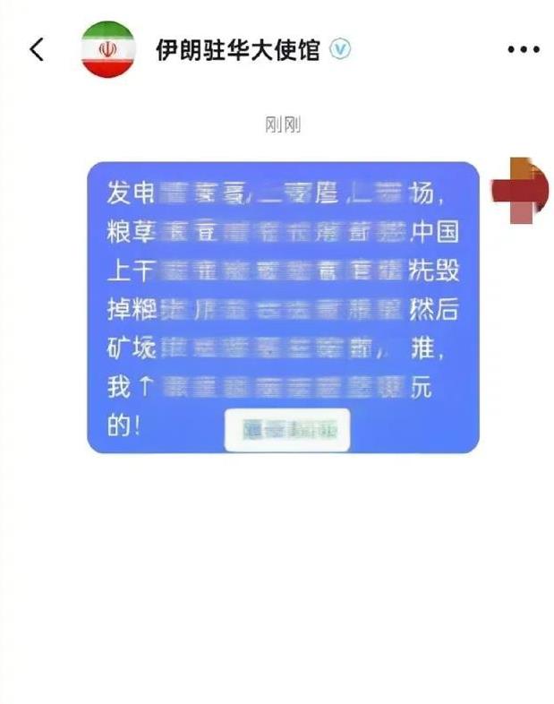 眼看伊朗吃了以色列的亏，很多中国网友坐不住了。
网友们通过伊朗驻华使馆网站或者其