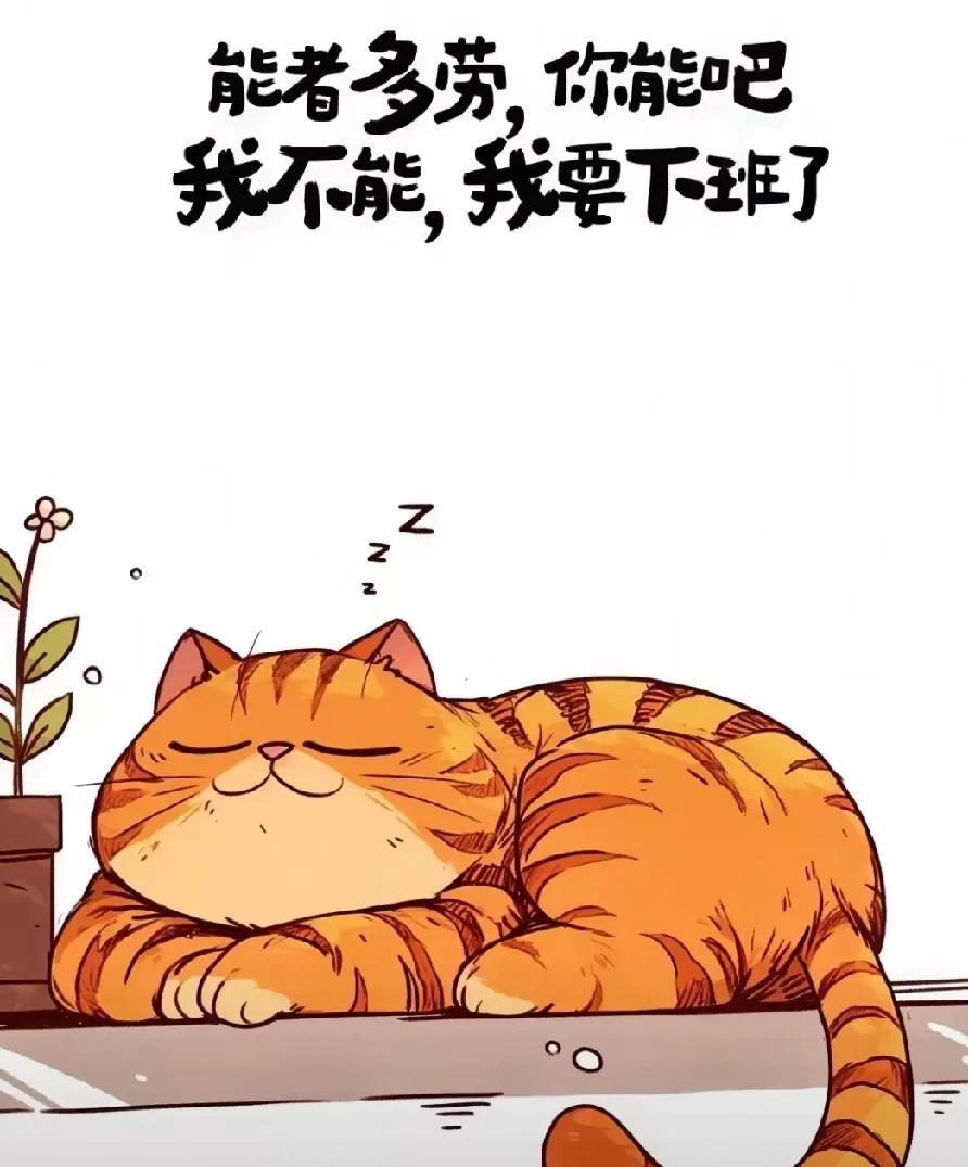 会计的尽头。
朋友会计本科毕业，考了注册会计师和税务师，按说两证在手应该待遇不错