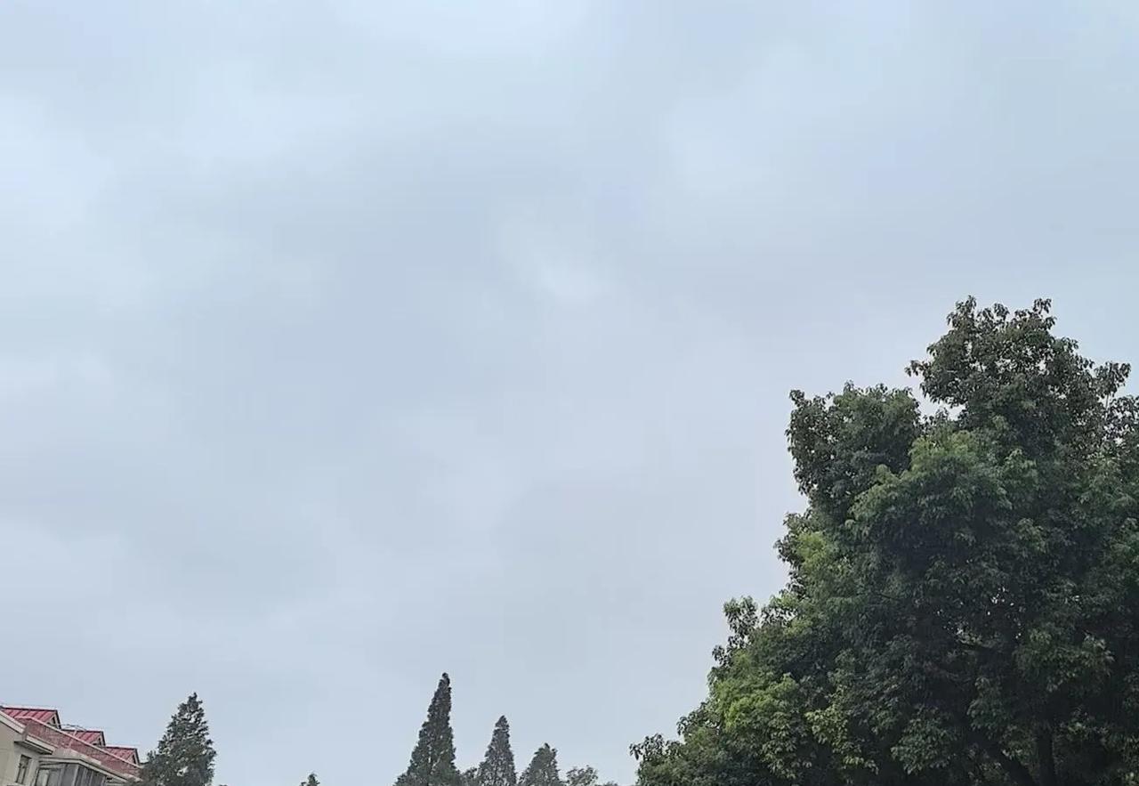 叙利亚跑去求土耳其了，可是土耳其就不想叙利亚领土？笑话，人家对叙利亚北部从来都没