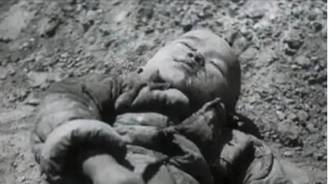 王凤阁将军一家三口就义的镜头，5岁儿子倒地场景，令人痛彻心扉