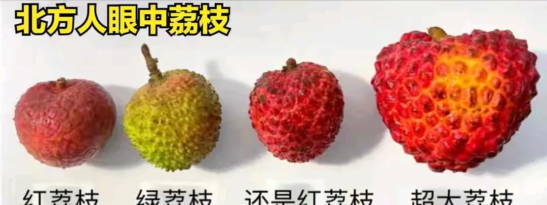 据说北方人是这样子区别荔枝品种的，根据个头和颜色来区别。
按颜色来分，荔枝只有两