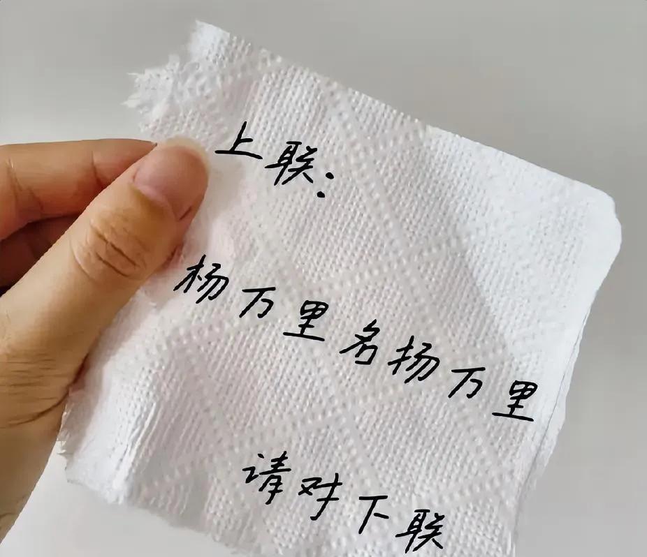 上联：杨万里名扬万里，
下联：？？？
有请高手对下联
