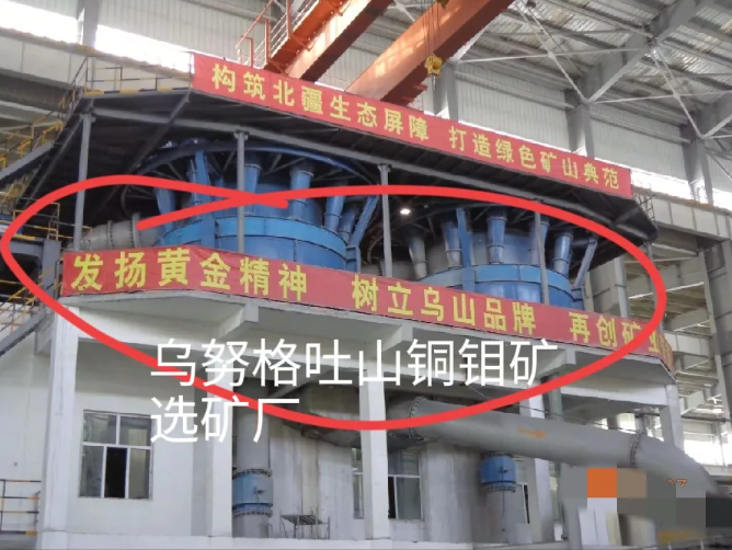 东北大学6名大学生，参观内蒙选矿厂坠落溺亡！

从这种悬空格栅板上，掉到了浮选槽