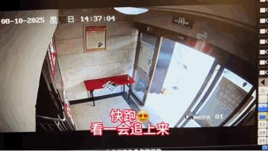 一家人吃饭一起逃单！就算找到了，她也会说是忘了，然后顶多也就是把应该结的账结了，