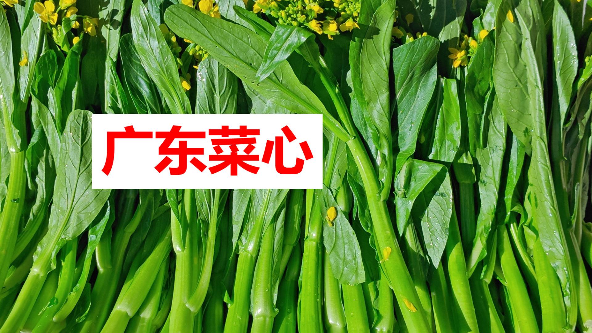 花几分钟，用最简数字，分辨菜心的优劣