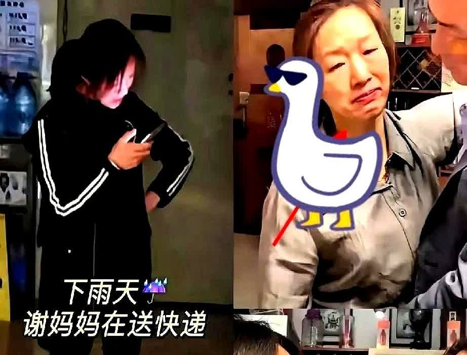 家人们，又有新瓜！

谢浩男妈妈这事儿反转了！

之前她女儿说妈妈雨天不