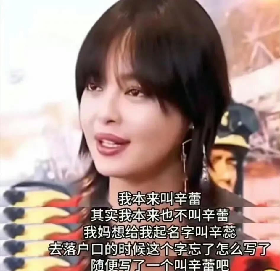 辛芷蕾竟是艺名？寓意“心止累”太有智慧了！你以为“辛芷蕾”只是个普通艺名？背后竟