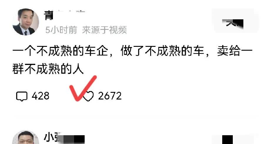 不得不说，这老哥总结太到位了！

“不成熟的企业，做了不成熟的车，卖给不成熟