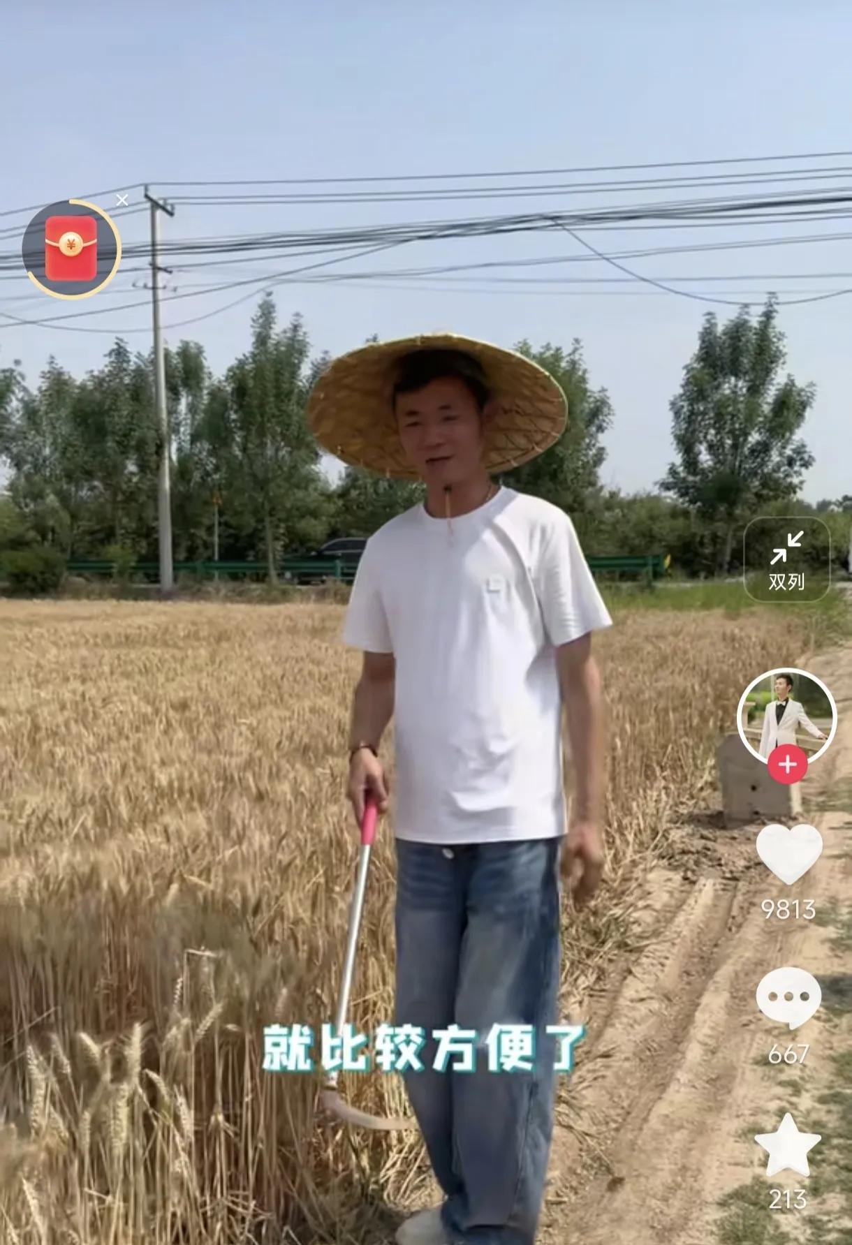 历怀远要收割麦子了，他又回到长大的地方了，历怀远忘不了自己成长的地方，他对这片土