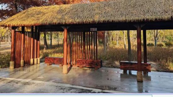 野趣值拉满！合庆郊野公园焕新归来，等你来探→