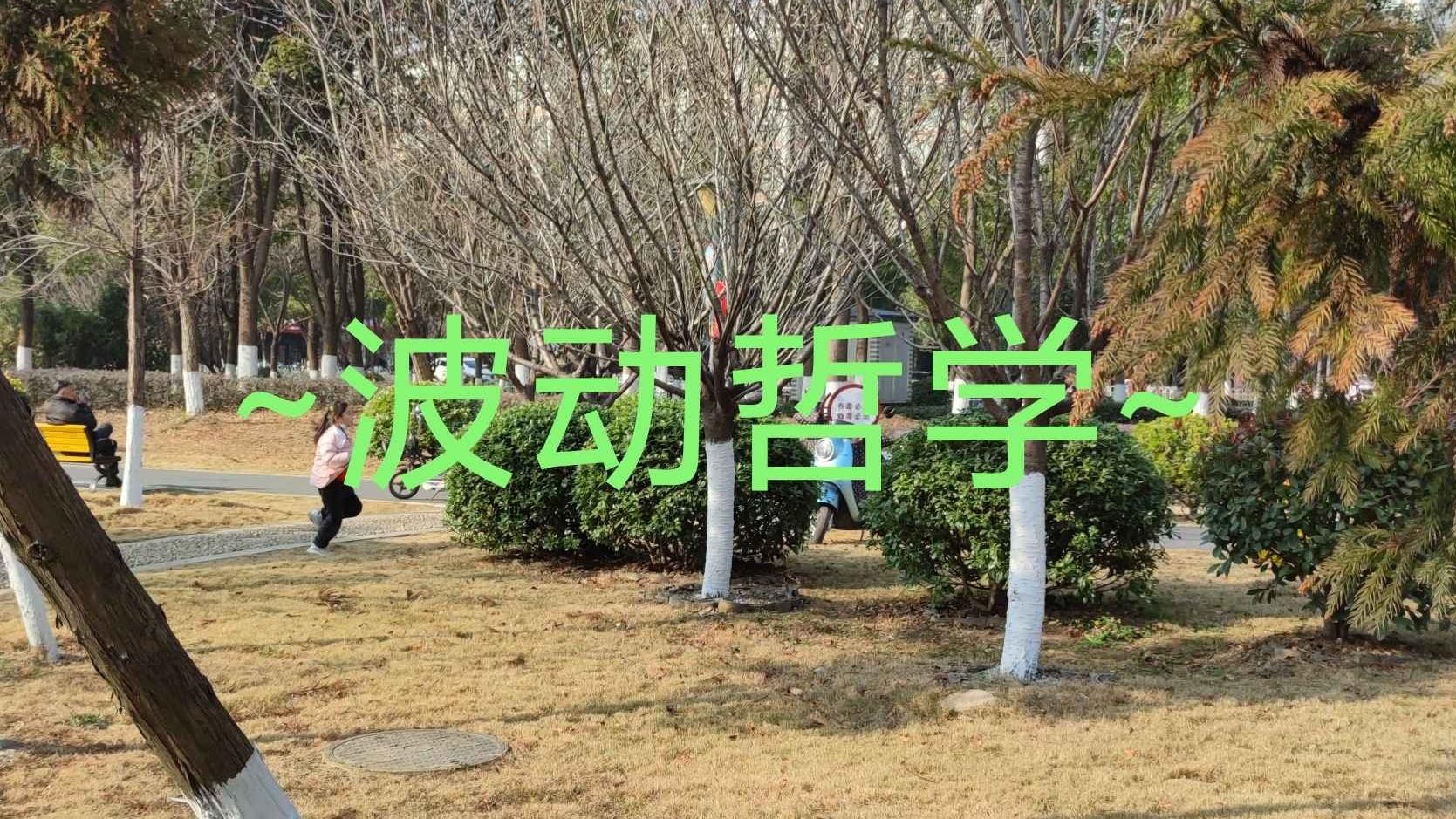 意识的本质｜波动哲学