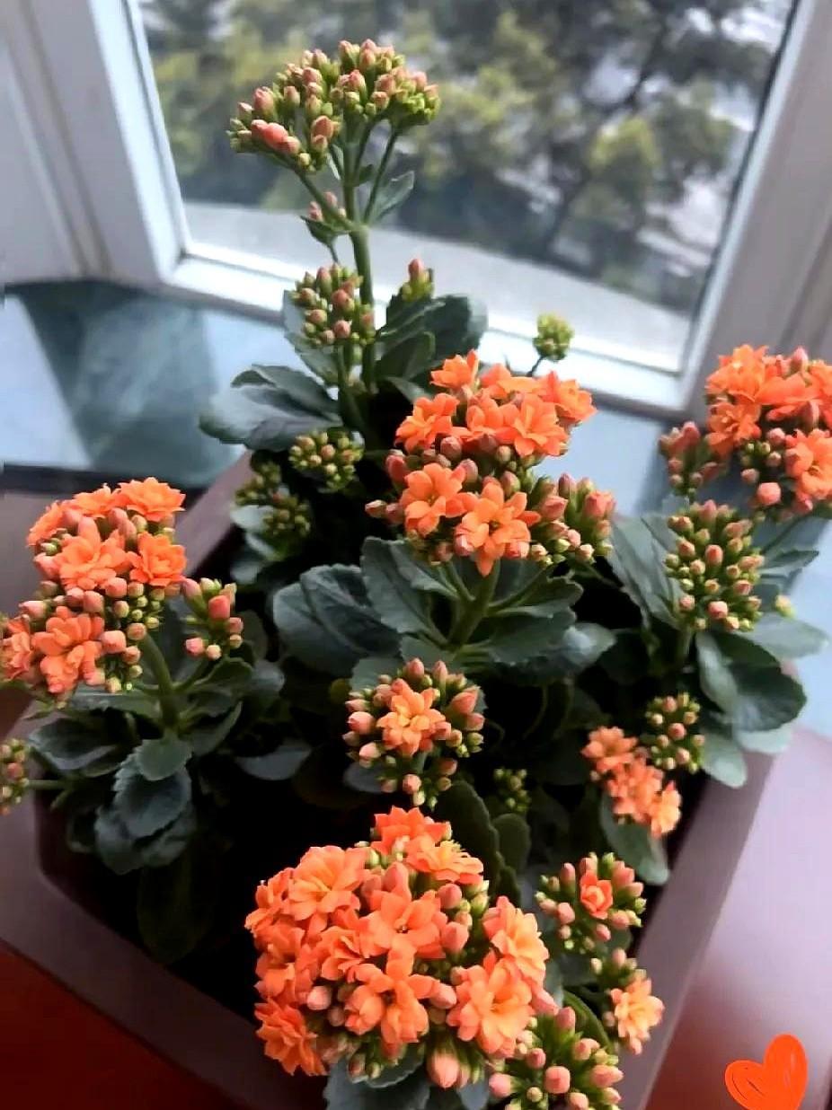楼上大叔退休了，他原以为退休是享福，哪知日子过得毫无盼头。
每天不过是机械地吃饭