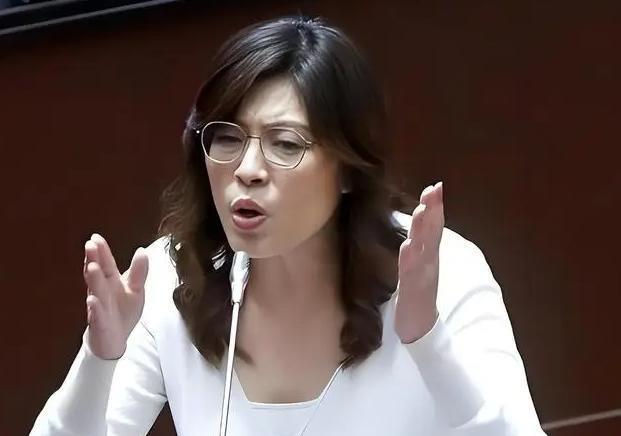 郑丽文胆子真大！她直接放出话来，如果自己当了国民党主席，第一个就是要收拾民进党，