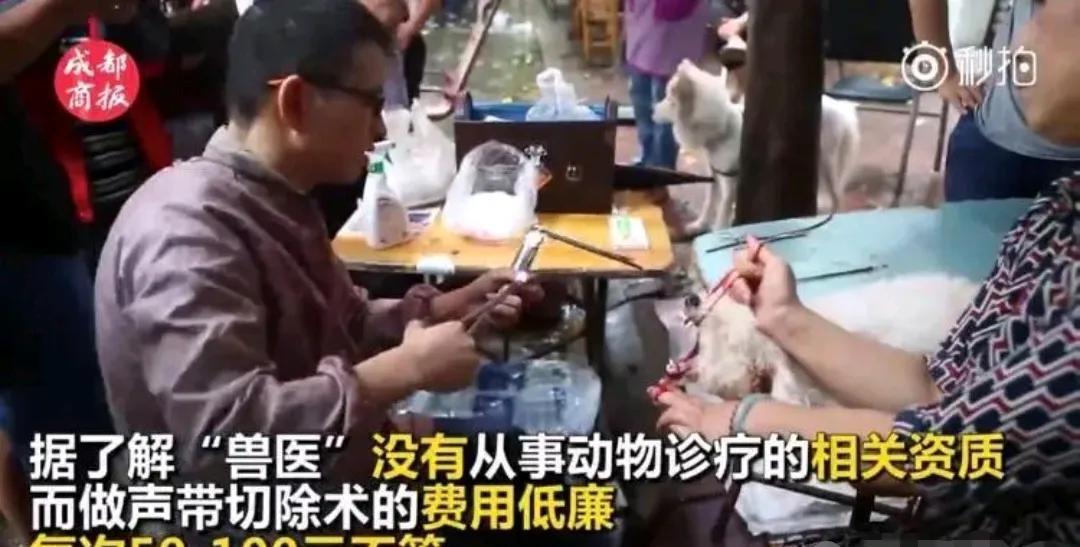 养猫狗宠物的人都是有爱心吗？
养猫狗当宠物，只是想让猫狗为他们的无聊解闷而已，猫