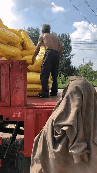 三位装卸工也算是老年人了，车上的这位肌肉还那么的发达，卸一车化肥，不知道他们能挣