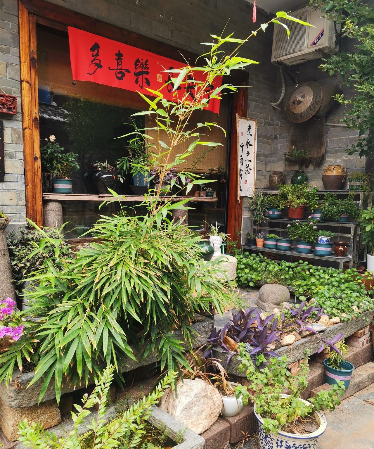 昨天把犯了抑郁症的婆婆接下来了。
老公没有和我商量，他只是在头一天晚上跟我说早点