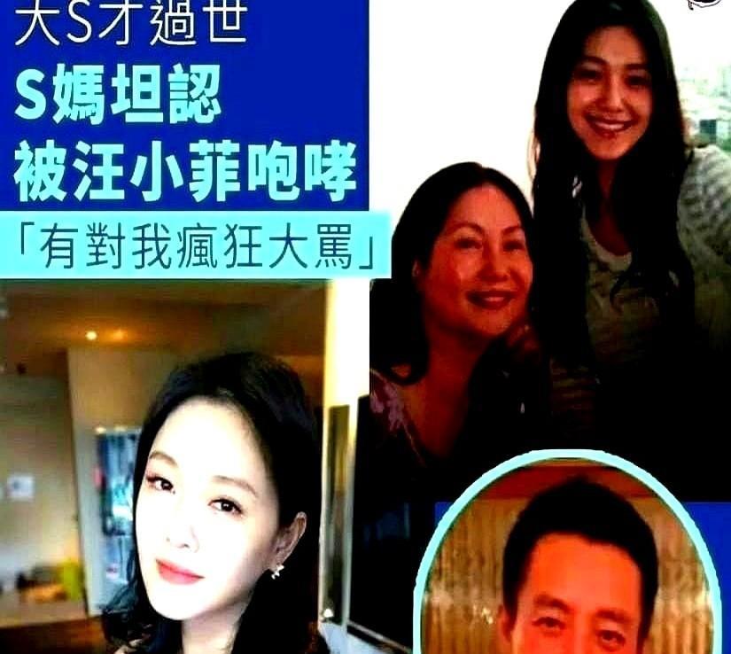 这豪门连续剧更新得比便利店关东煮还勤快，S妈一把鼻涕一把泪对着镜头哭诉，说大S离