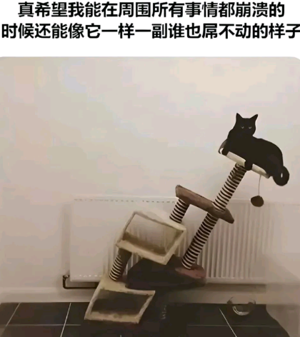 谁也屌不动的样子