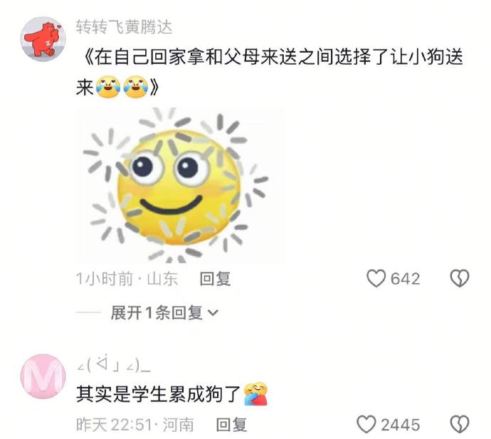 其实是学生累成狗了