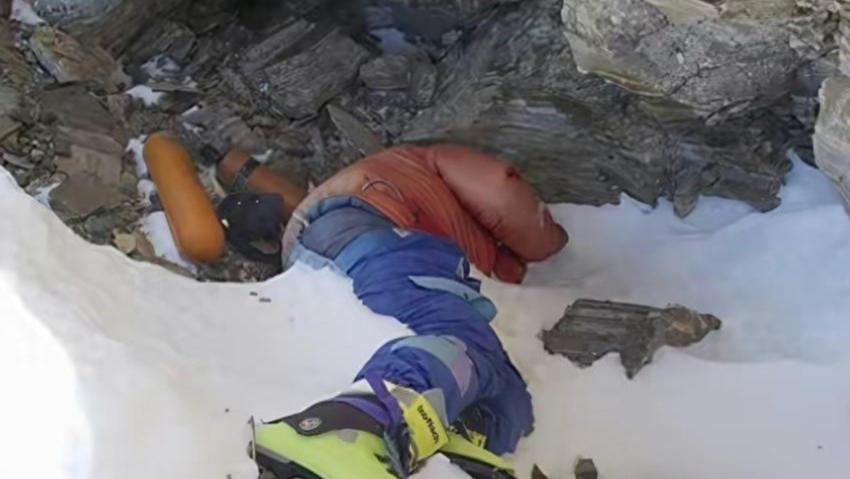 为什么只有人类害怕同类尸体？其他动物却不害怕呢？