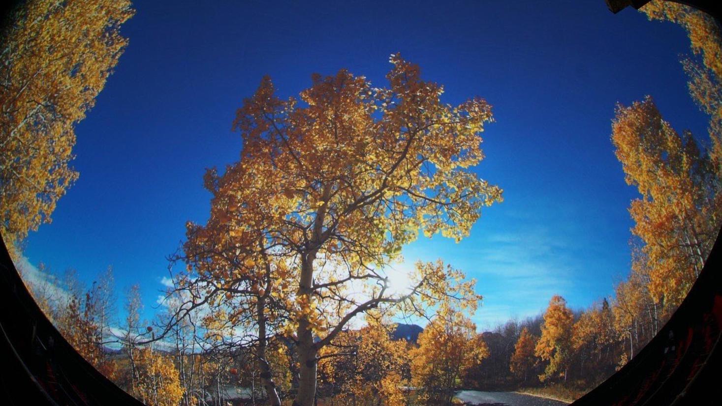 科视Christie Griffyn 4K35-RGB 助力国立自然科学博物馆太空剧场 推动台湾地区