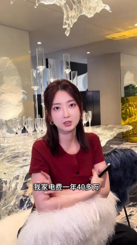 就说全球变暖赖不上穷人！浙江33岁女子透露，她家电费一年要交40多万，1000平