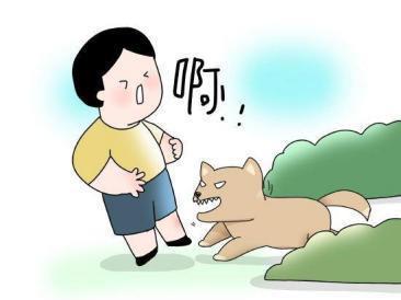 “严查到底！”近日，乌鲁木齐，男子在公园打电话，突然被一条未栓绳的狗咬伤，为了自