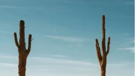 越秀调价截客，中建智地举报反击，撕开北京楼市最痛的真相