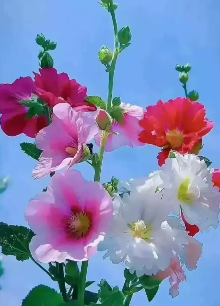 我已年过70，自感余日不多，对身后之事，向儿女做如下安排：

1.为免除以后取款