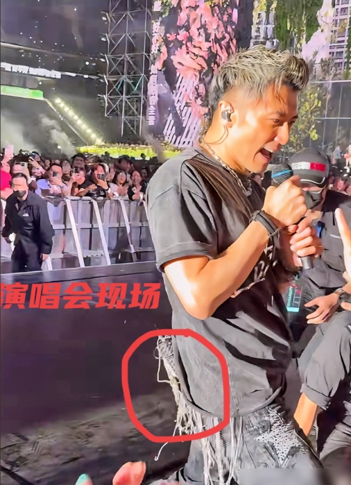谢霆锋开演唱会这事儿确实争议挺大，有人嫌他装，但得承认这哥们儿开麦是真硬核。查了