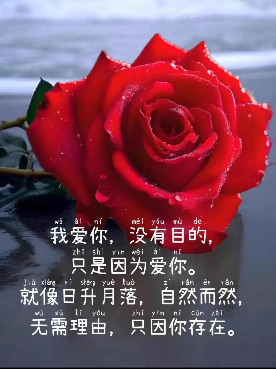 想你了
无数个深夜
孤忱难眠
早已习惯此刻在心里
将你默念万千遍
入了相思门
四