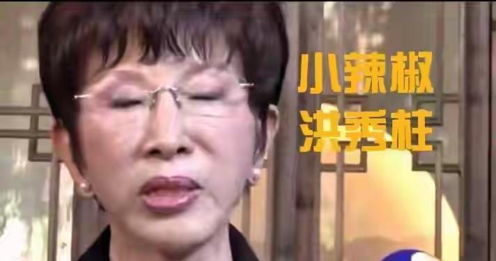 洪秀柱30秒直播握手后劲来了！
洪秀柱是3日晚上回的台北，第二天陆委会副主委沈有