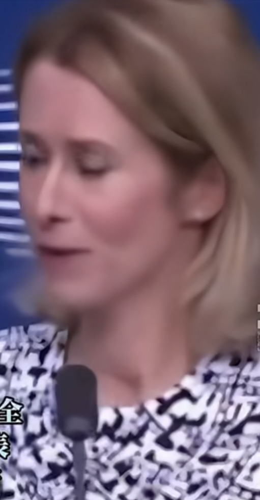 欧盟醒悟：美国套路深，别再当冤大头











真不敢相信！欧盟外长终