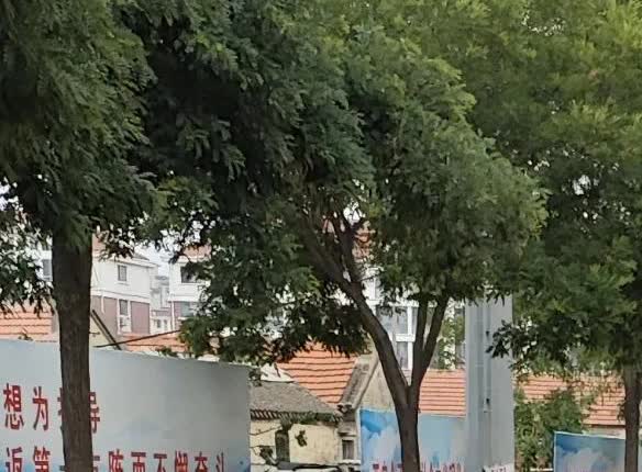 我去买菜的路上，总要经过一个烟摊儿，烟摊儿不大，说白了就是一个马扎，上面摆一个木