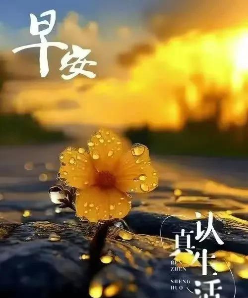 #晒图笔记大赛#以利相交，利尽则散；
以势相交，势败则倾；
以情相交，情断人伤；