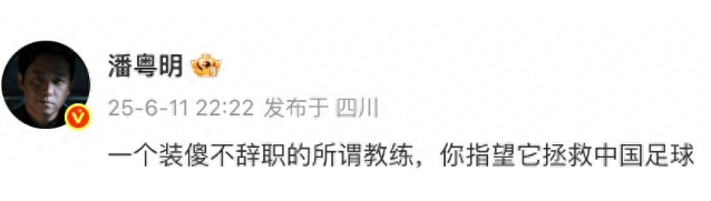潘粤明炮轰国足教练伊万：一个装傻不辞职的所谓教练，你指望它拯救中国足球！此前曾多