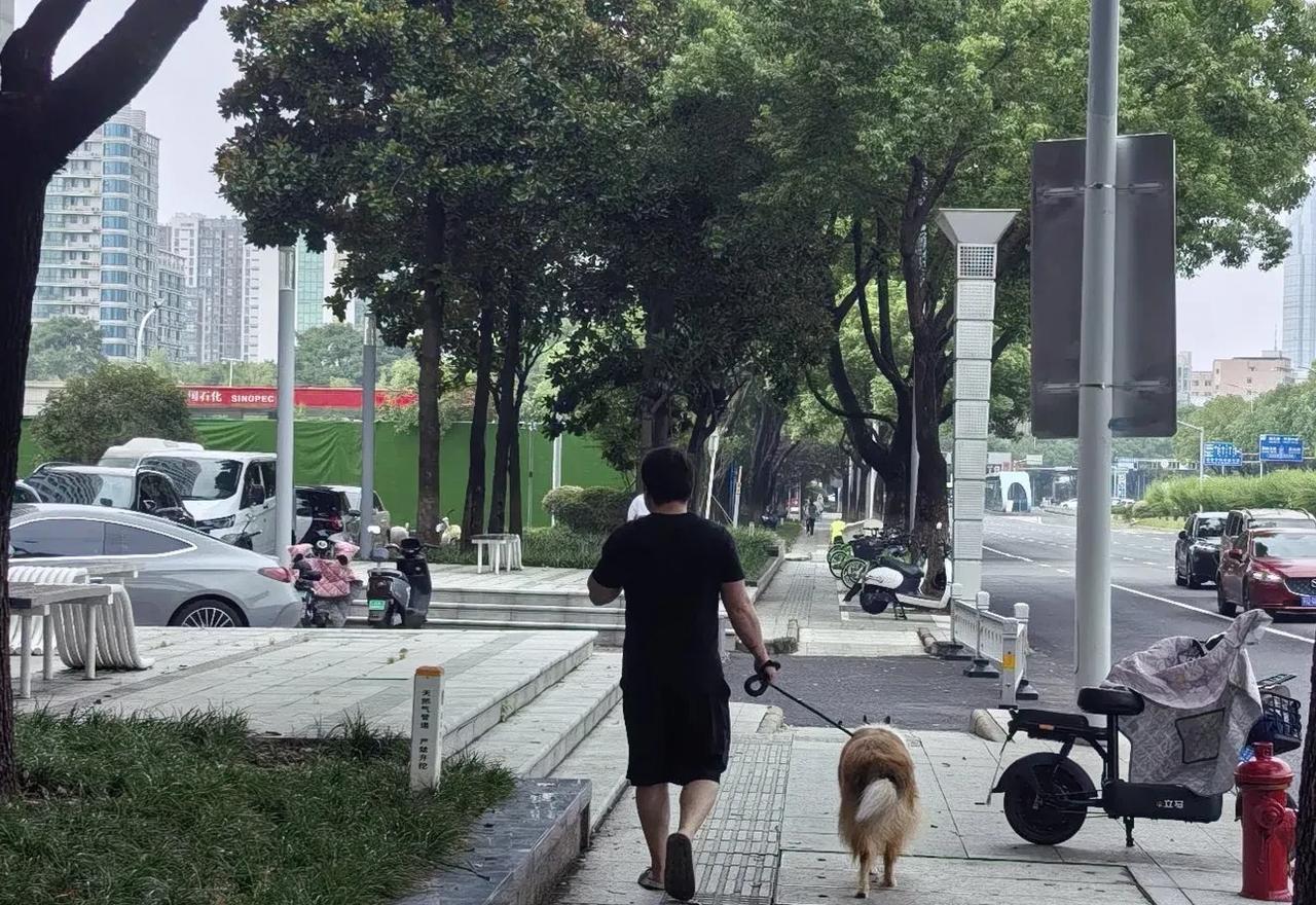 半路遇到一位帅哥，带着他的狗狗出来遛弯。
这狗狗浑身有着长长的毛，金色、白色还有