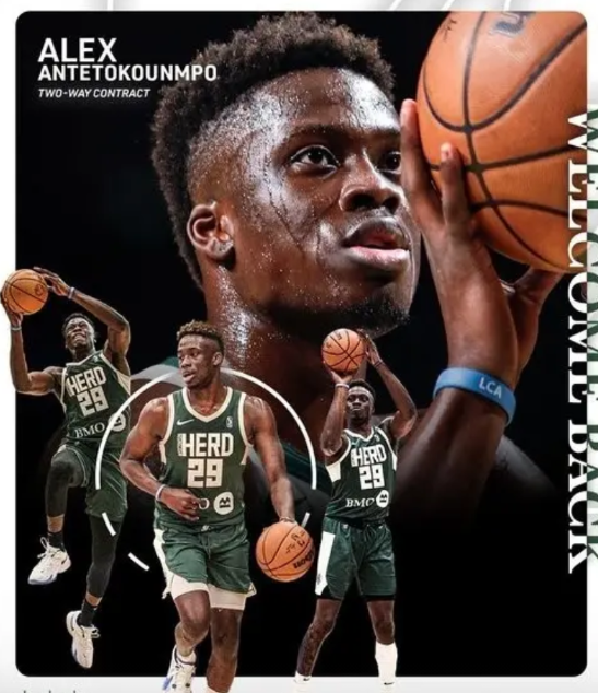 字母哥弟弟都能打NBA，曾凡博凭什么被裁？

今天雄鹿官方宣布与字母哥的五弟签下