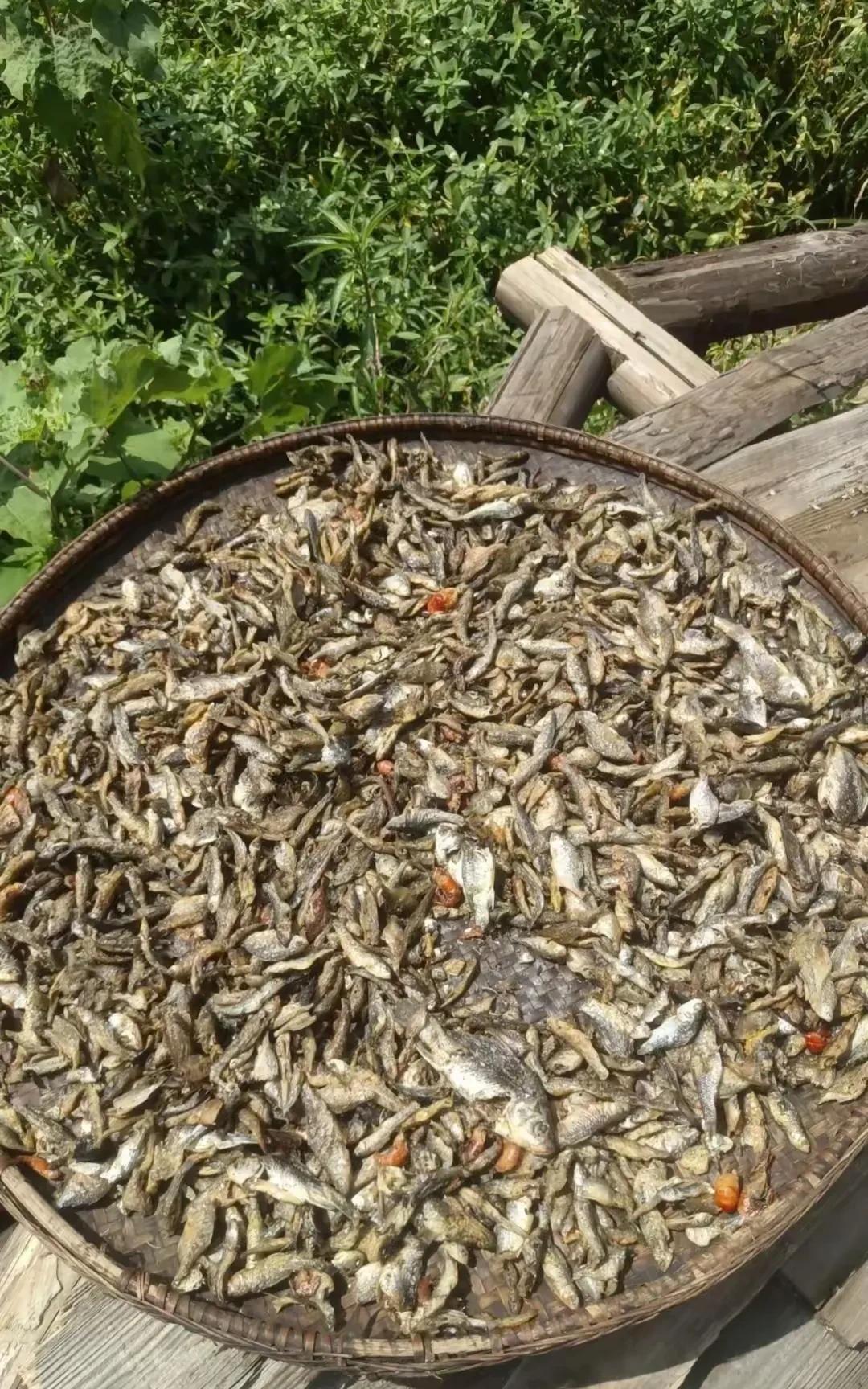 这样的小鱼干确实很下饭，
唯一的缺点就是没去内脏，
吃起来带沙子。