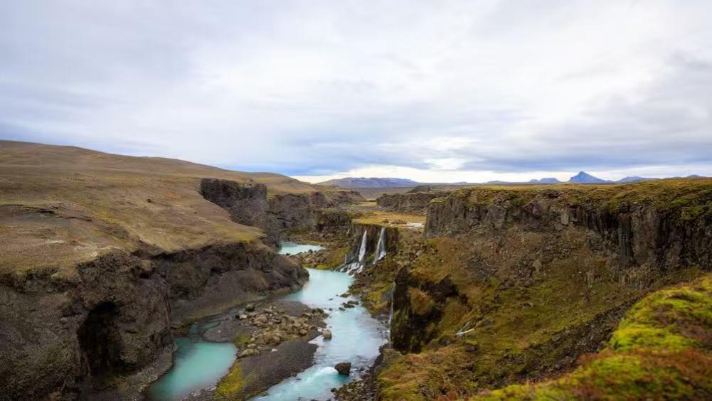 36 天 210 通工作电话致猝然离世，阿坝州 4 年诉求未获回应