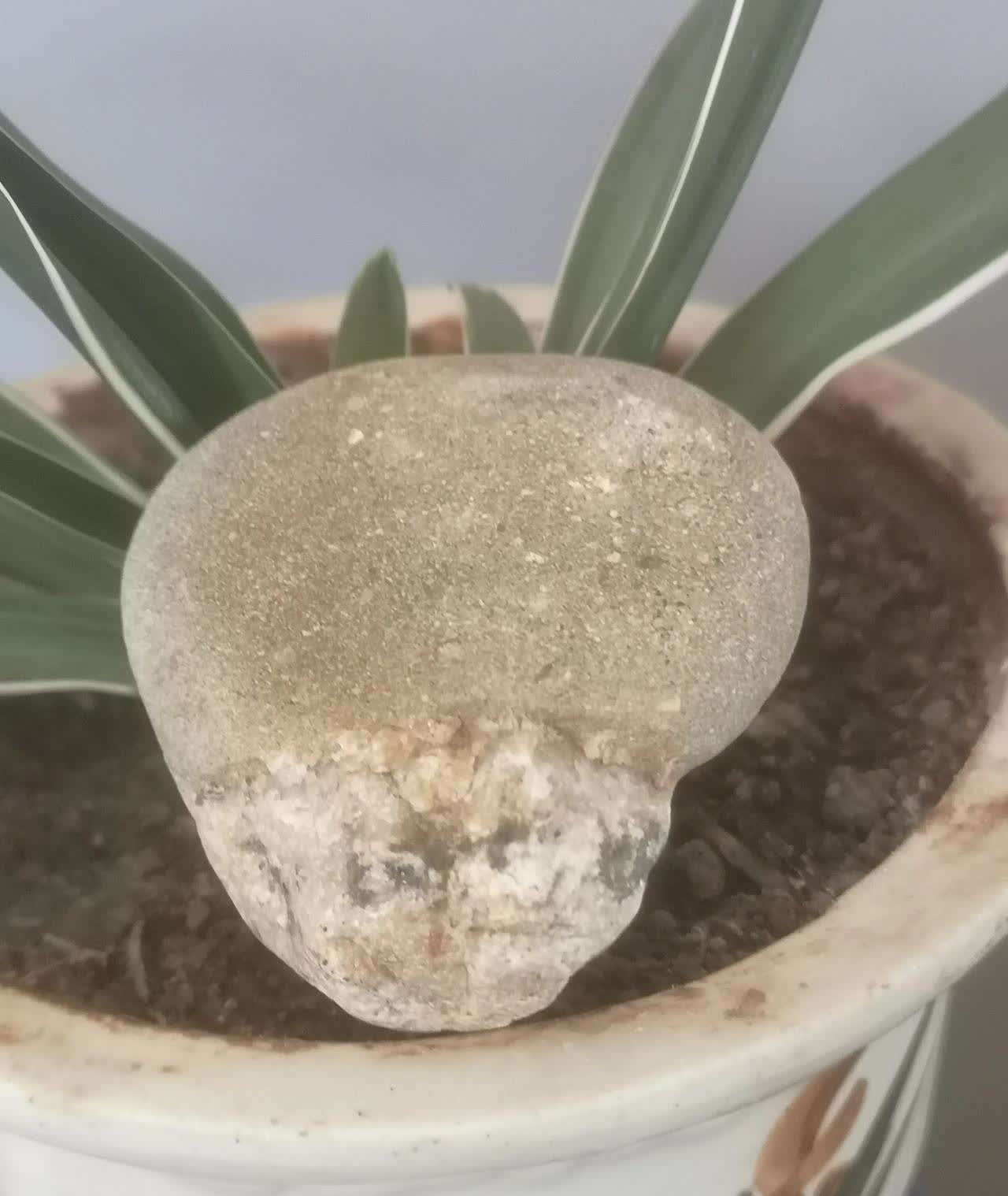 看到说在工作场所、工作时间跳舞违反纪律，就想到之前陕西那事。一女子在村委会办公室