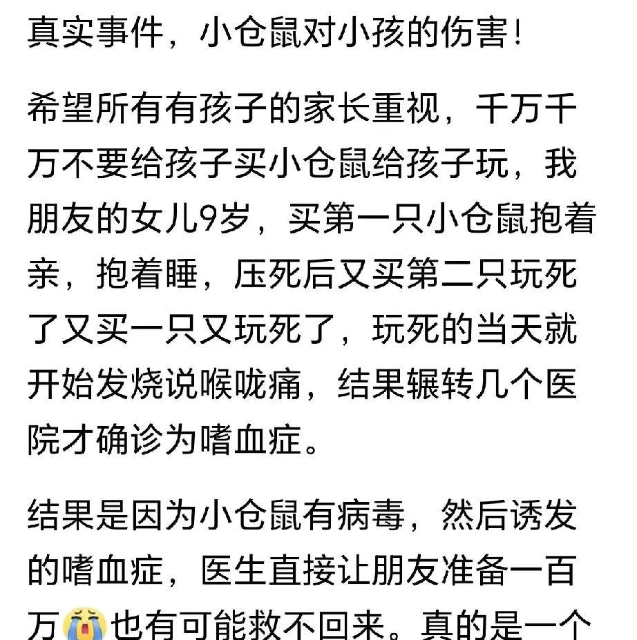 说实话，对于仓鼠这种小东西，我是怎么都喜欢不来，尤其它还有尖尖的牙齿，我怕孩子被