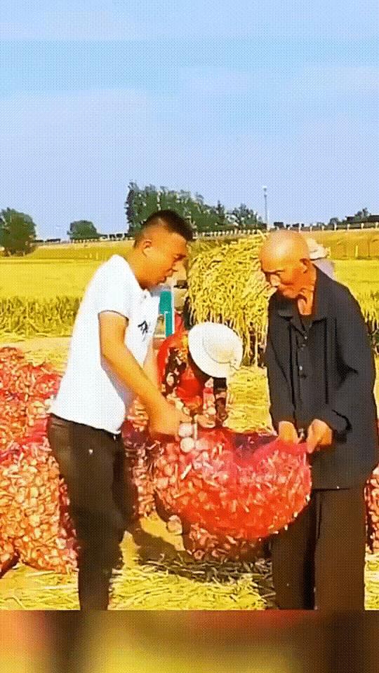 孙子是真孙子。
爷爷是真爷爷。