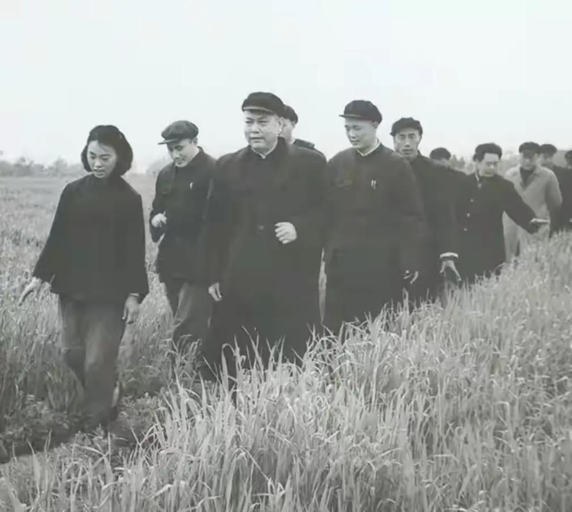 1958年春季，时任国务院副总理的李先念同志深入河南农村，实地考察农业生产情况，
