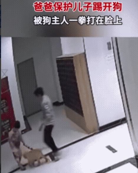 出门不栓狗绳还有理？嚣张一拳换来3年牢狱之灾和10万赔偿！现在的人也不知道哪来的